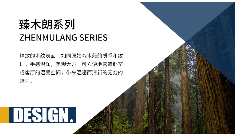 臻木朗系列19